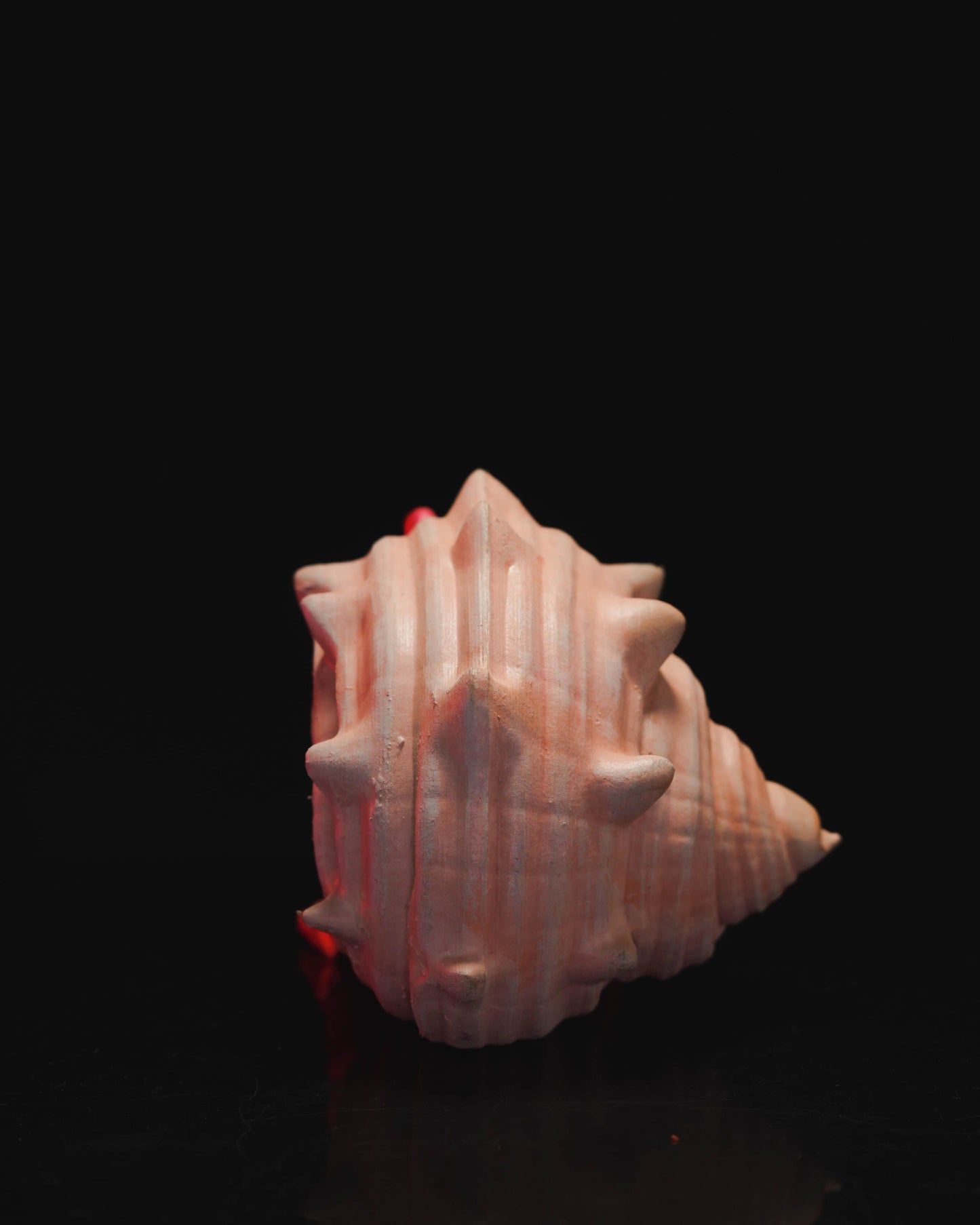 Hermes, the Hermit Crab