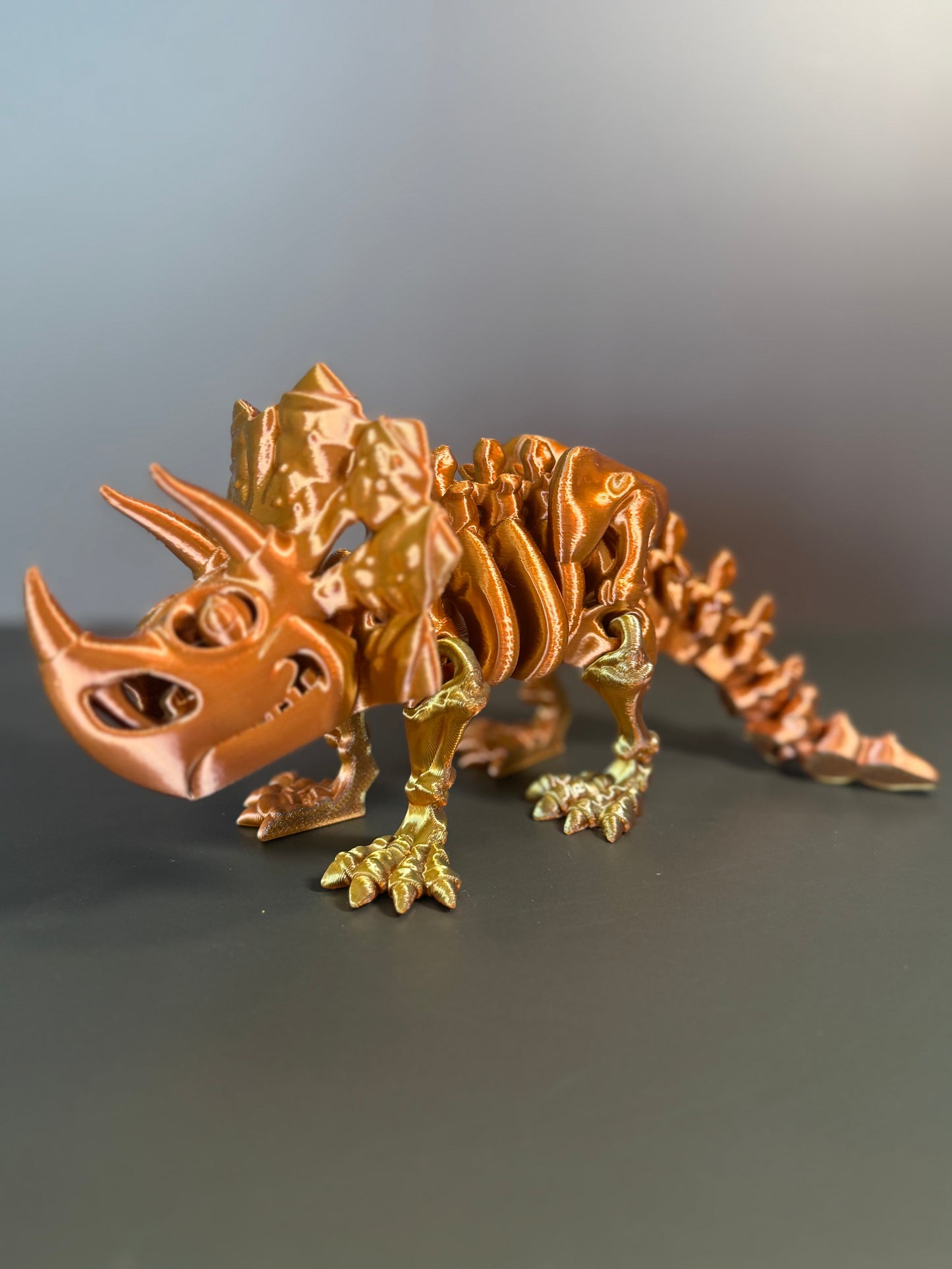 Articulated Triceratops Skeleton