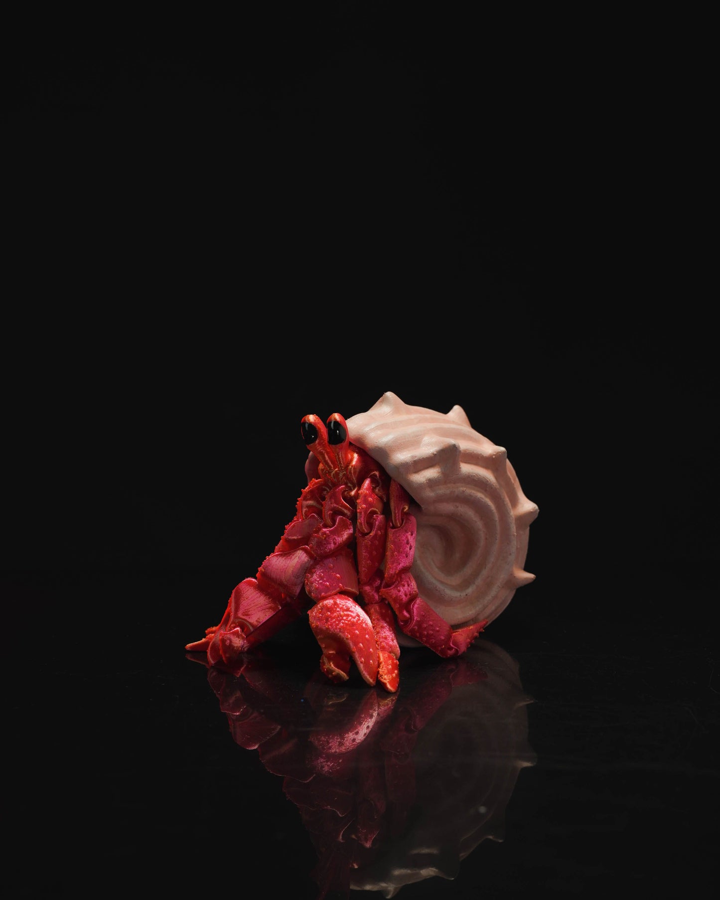 Hermes, the Hermit Crab