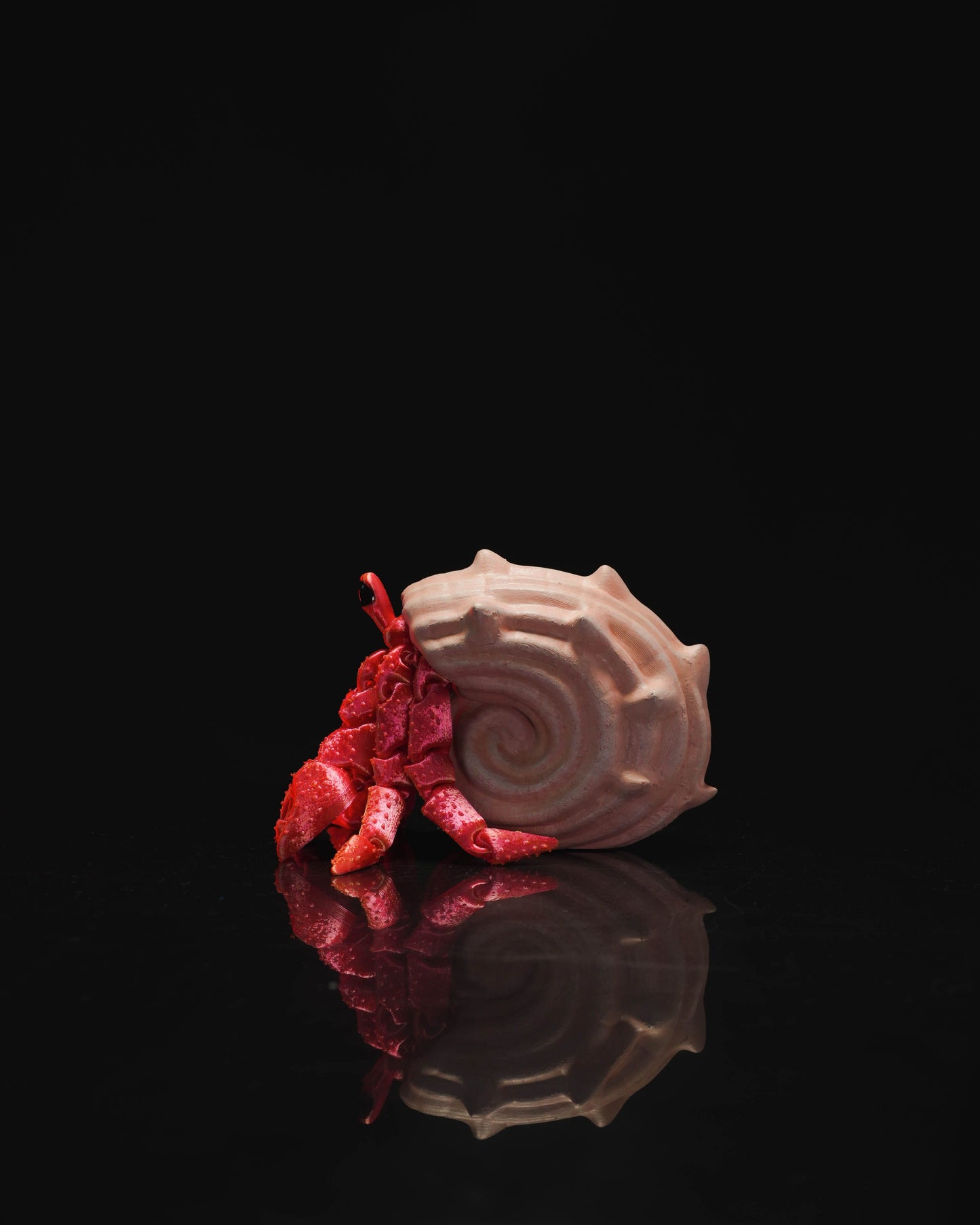 Hermes, the Hermit Crab