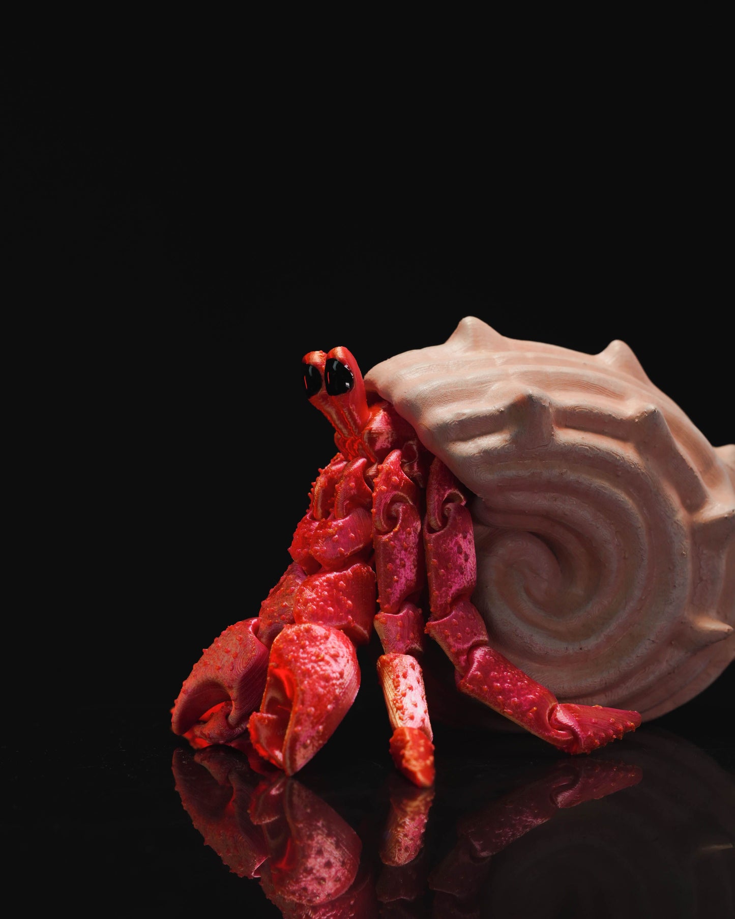 Hermes, the Hermit Crab