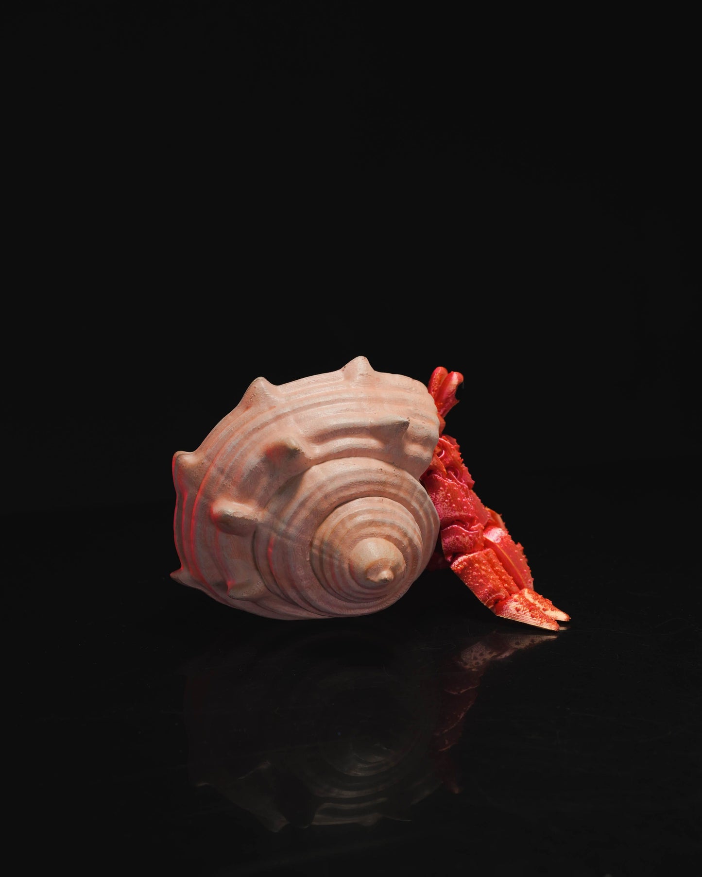 Hermes, the Hermit Crab