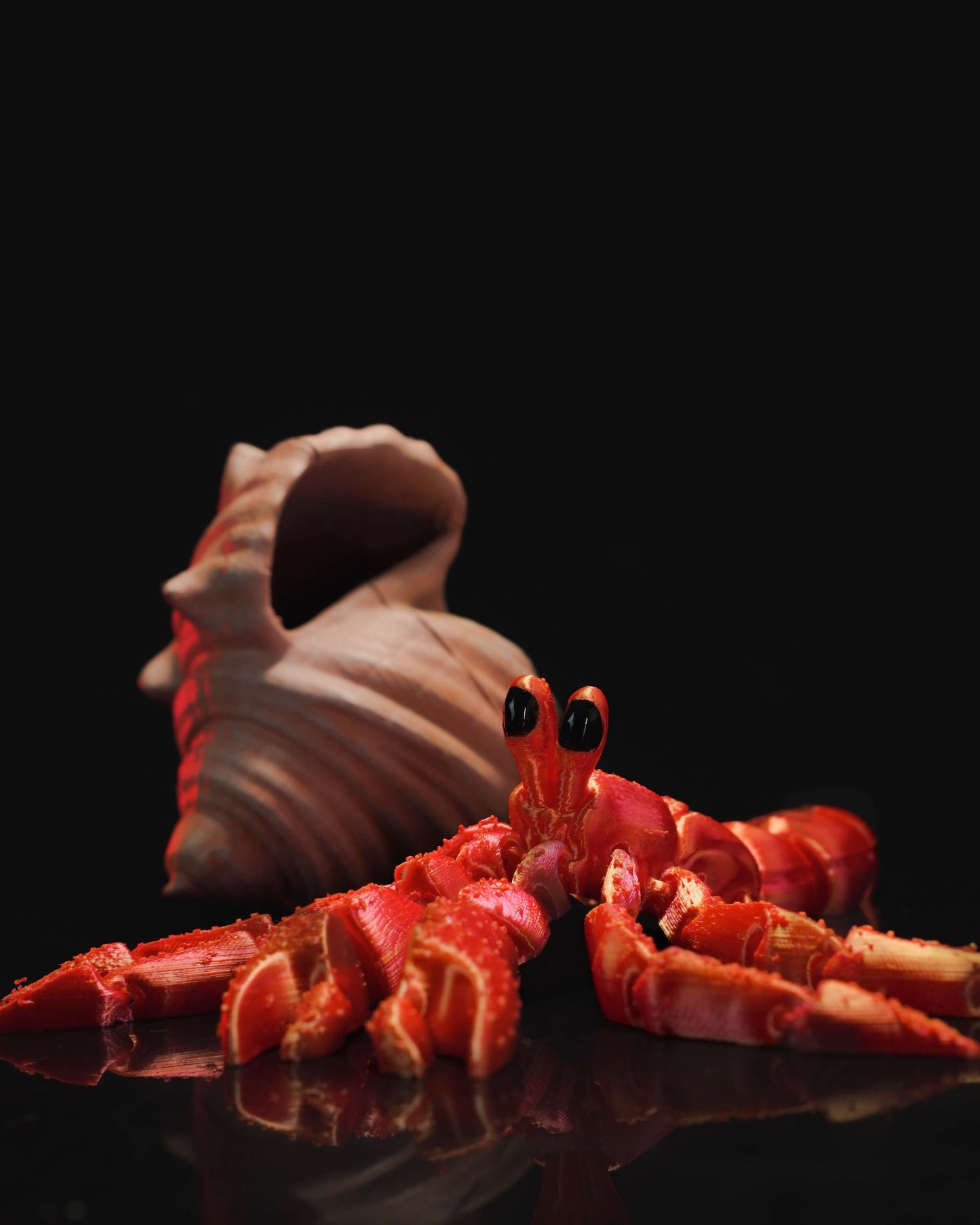 Hermes, the Hermit Crab