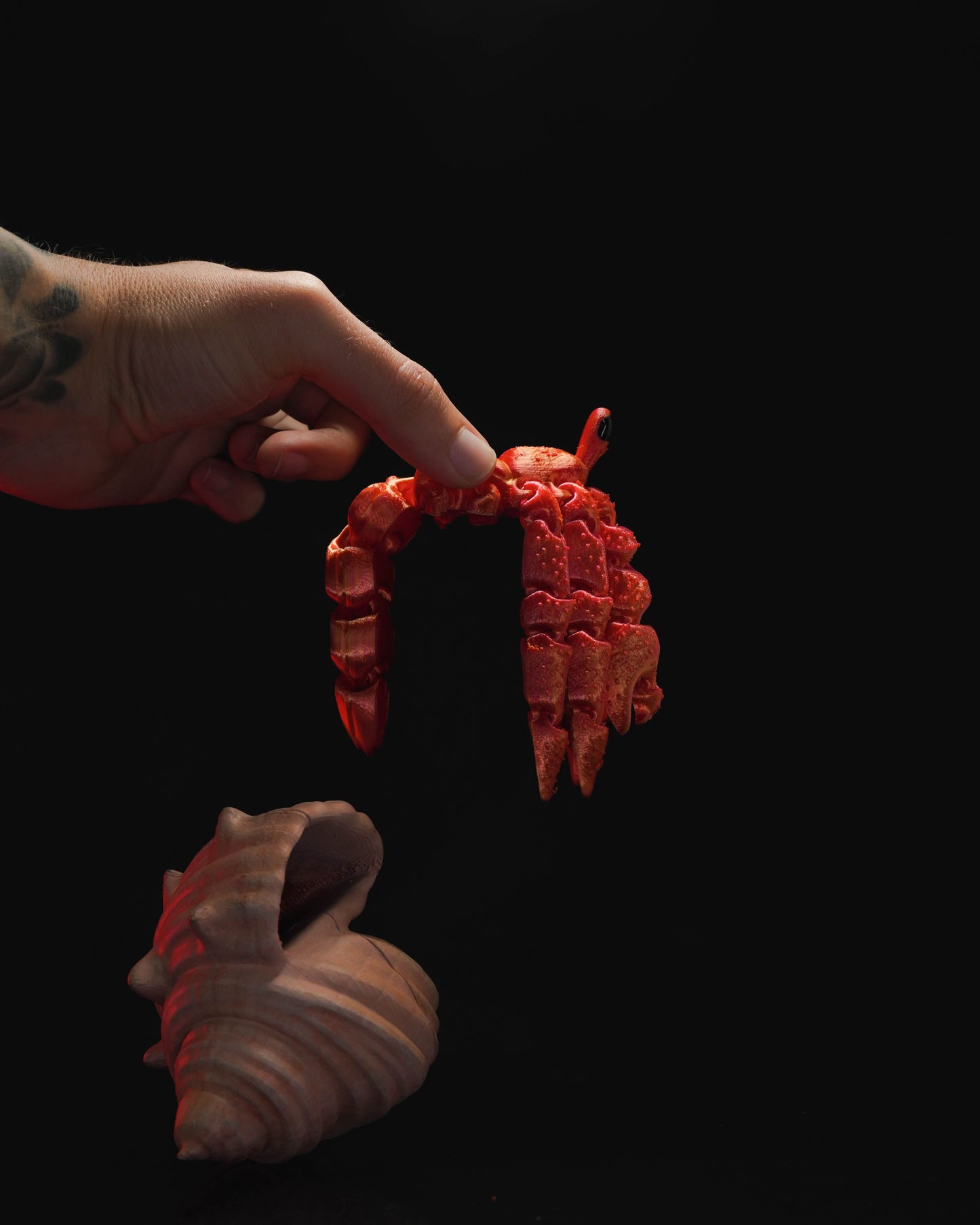 Hermes, the Hermit Crab