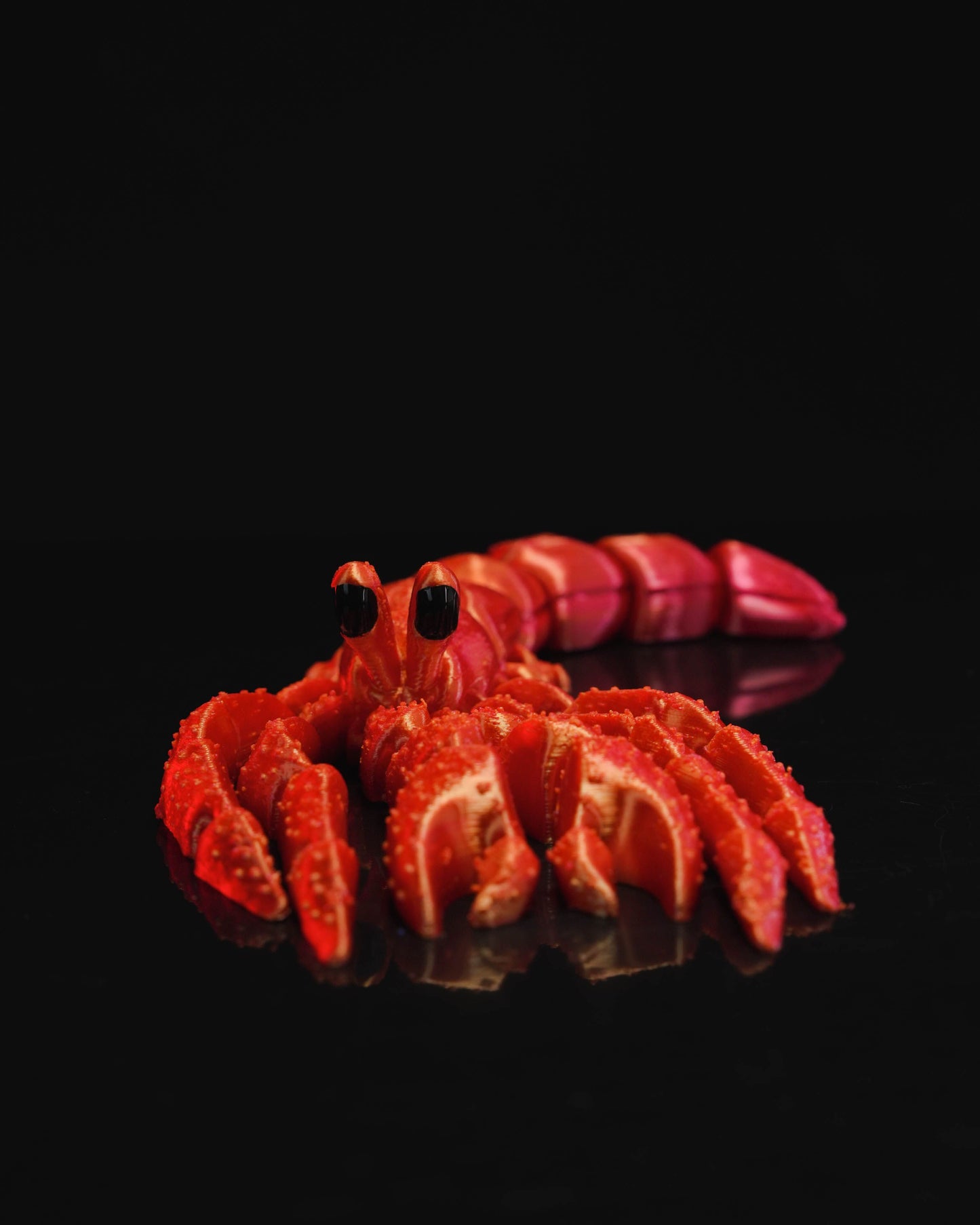 Hermes, the Hermit Crab