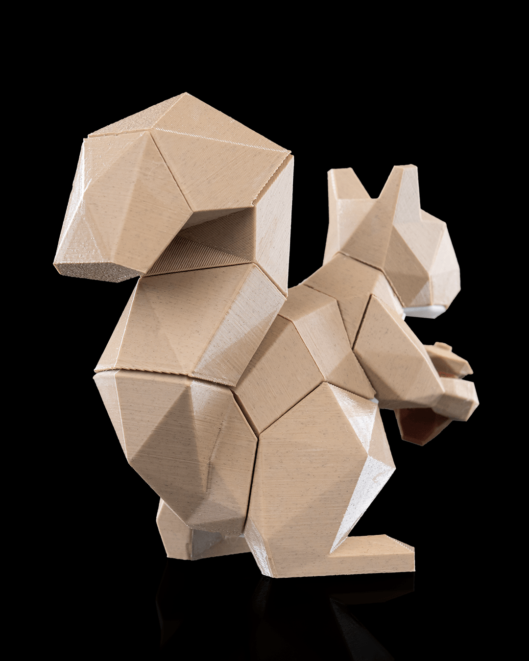 Low Poly Squirrel Puzzle